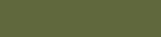 RV-6003 Olive Green