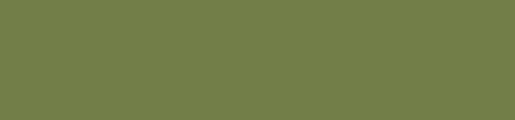 RV-6013 Khaki Green